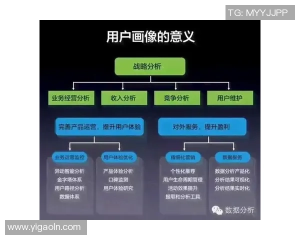 WE战队防守策略分析与成败得失的深度探讨